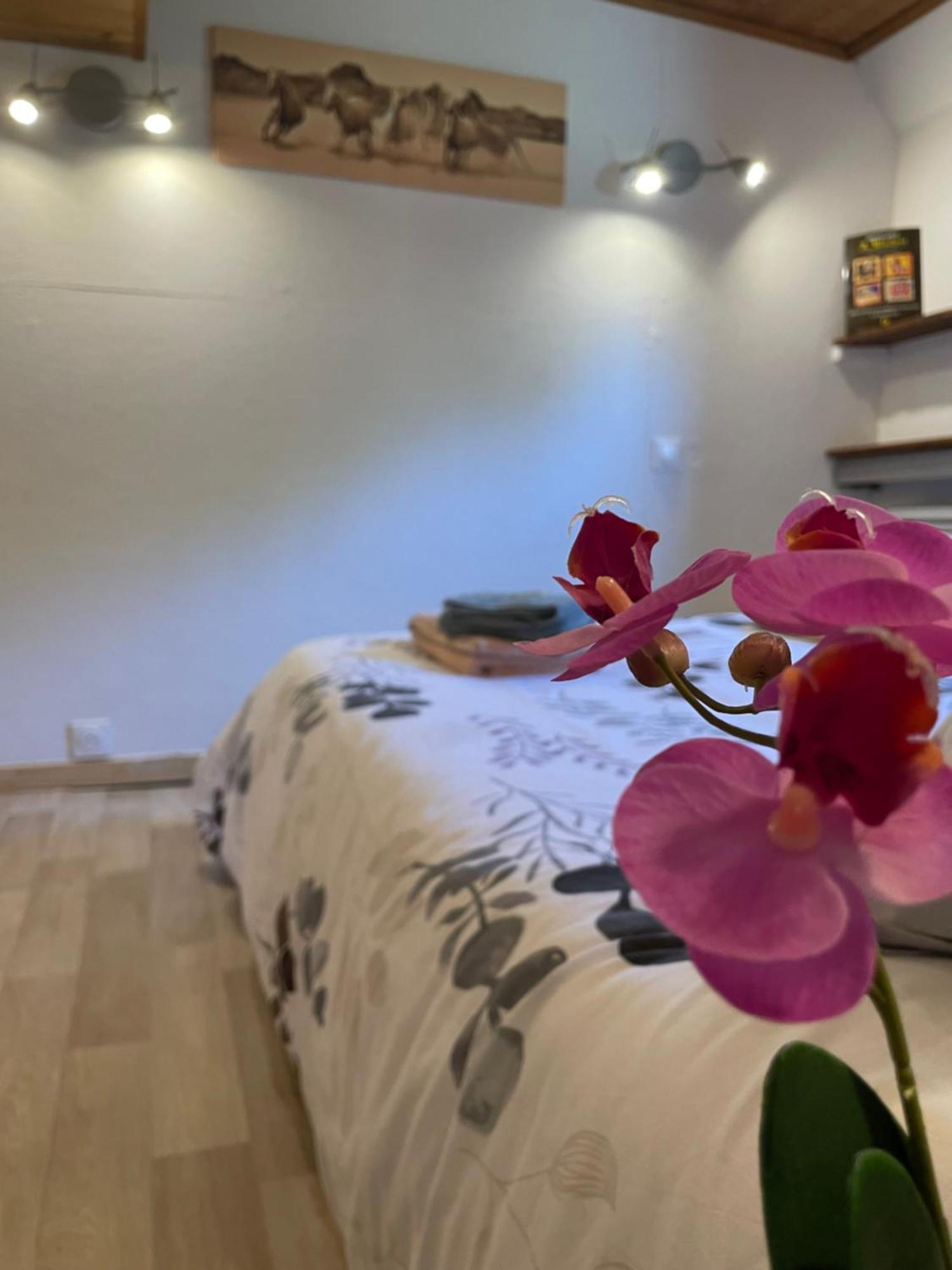 Peniche Le Pescalune - Chambre D'Hotes Arles Zewnętrze zdjęcie